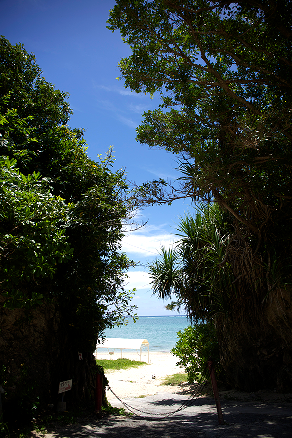 夏の空と食堂かりか