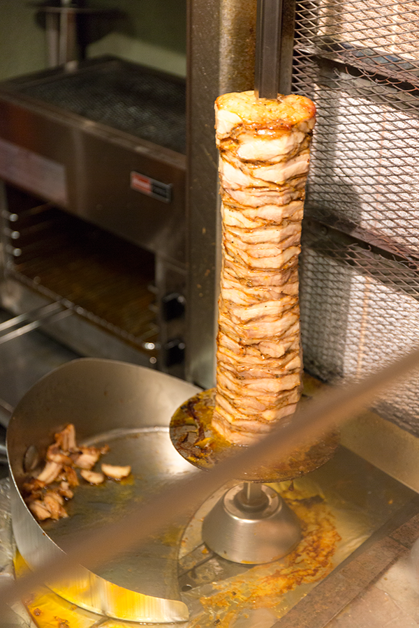トルコ料理とフロリダ紀行ときどき爬虫類