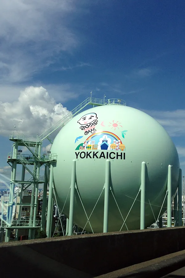 ごちゃ煮チキンカリー