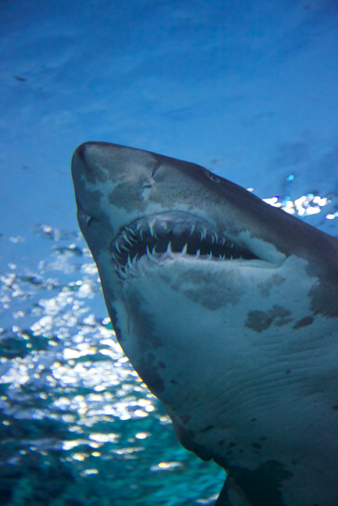最終日もバンコク市内を満喫〜タイ・バンコク旅行記：6日目・昼〜