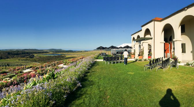 NZ紀行 Day15・ゴルフ場ビューなホテルとワイナリー巡り09 – Karikari Estate Winery