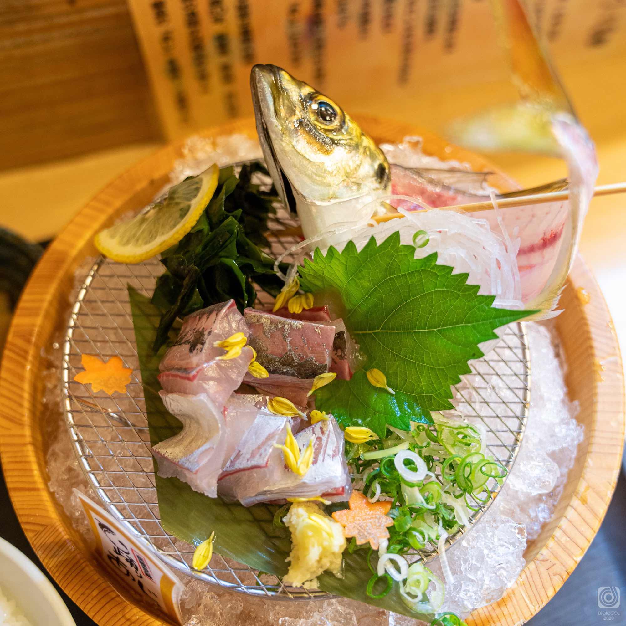 静岡県 沼津市・鮮度抜群！踊りアジ専門「あした葉」でプリプリのアジを食べよう。