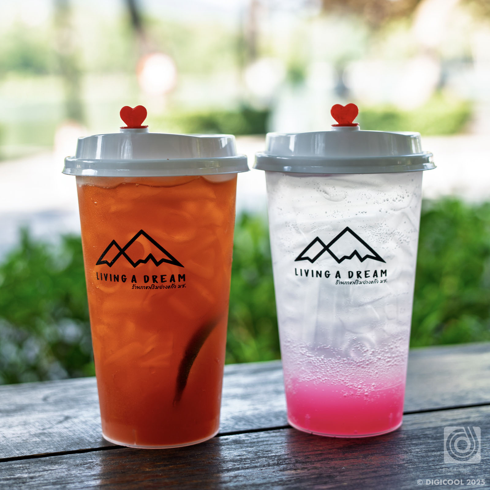 タイ チェンマイ・湖を眺めながら木陰で休憩できる「Living A Dream」がホントにのんびりできて最高だった。